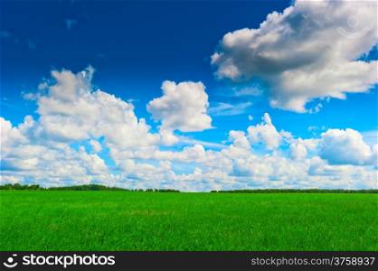 juicy green pasture and beautiful sky