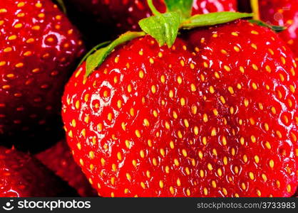 juicy ripe strawberry closeup