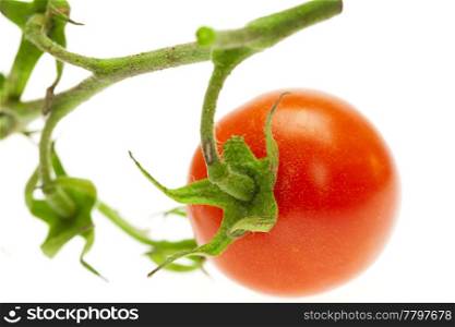 juicy tomato isolated on white