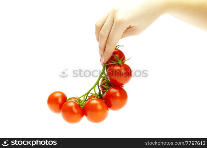 juicy tomatoes in hand isolated on white