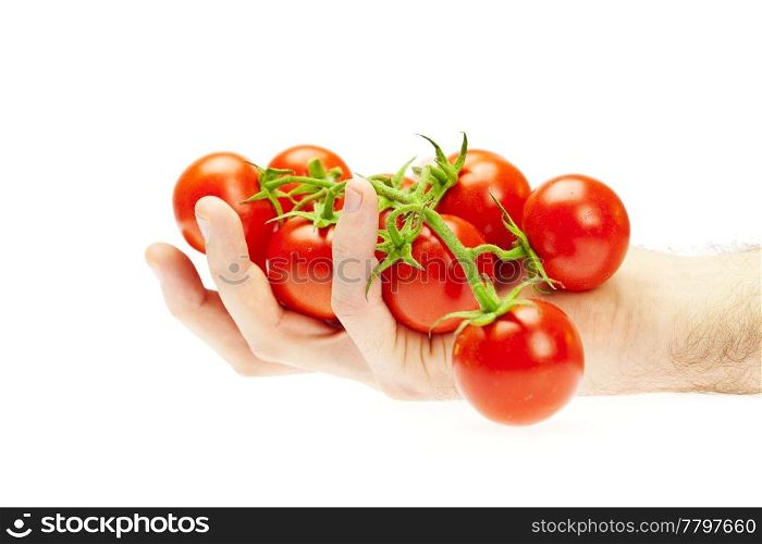 juicy tomatoes in hand isolated on white