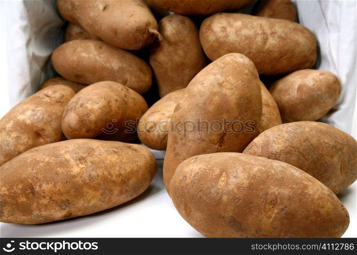 Jumbo Russet Potatoes