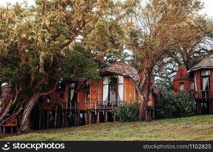 JUN 25, 2011 Tanzania - Luxury clay house African primitive cottage villa with thatched roof in garden under big tree - Ngorongoro Serengeti Savanna