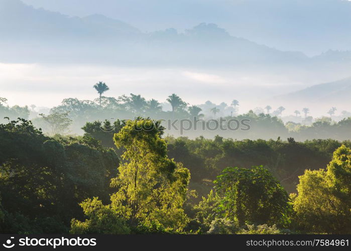 Jungle and mountains in the rainy season in Mexico