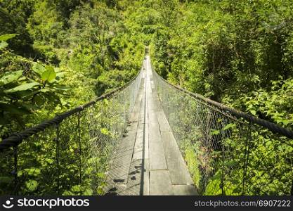 Jungle bridge over river in Guatemala, Central America