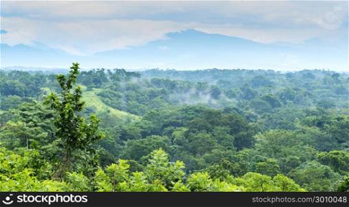 Jungle landscape scenic with mountains on the horizon in Chiapas, Mexico