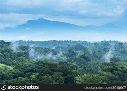 Jungle landscape scenic with mountains on the horizon in Chiapas, Mexico