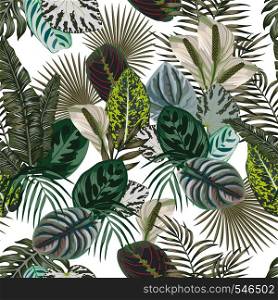 Jungle pattern leaves flowers dark green color scheme seamless white background beach vector trendy illustration tropical wallpaper