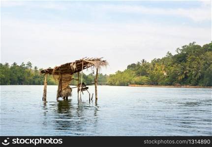 Jungle river and tropical forest, Ceylon scenery. Sri-Lanka landscape