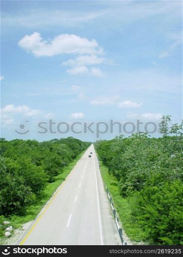 jungle road aerial view in central america mexico