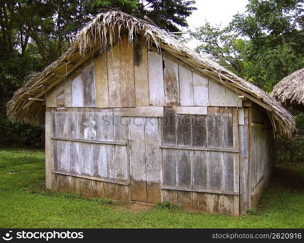 Jungle wooden house in Chiapas Mexico Lacandon area