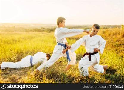Junior karate fighters, training fight in summer field. Martial art workout outdoor, technique practice. Junior karate fighters, outdoor training fight