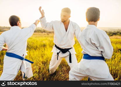 Junior karate fighters with master, combat skill training in summer field. Martial art workout outdoor, technique practice