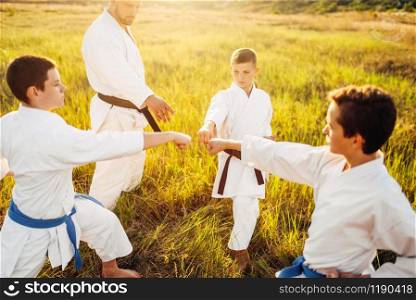 Junior karate team with instructor on training in summer field. Martial art workout outdoor, technique practice