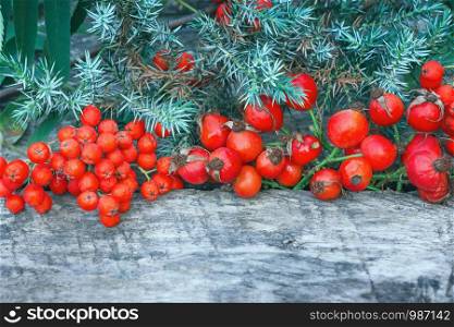 Juniper branch, red rowan berries and rose hips on a rough wooden table. Conceptual festive natural background with space for copy.