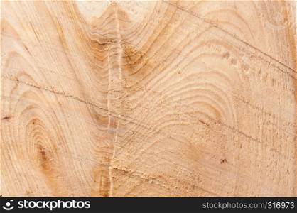 Juniper wood texture background with old natural pattern. Grunge surface rustic wooden backdrop for template website poster or concept design.. Juniper wood texture background with old natural pattern. Grunge surface rustic wooden backdrop.