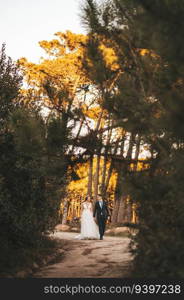 Just married couple walking on the woods at sunset