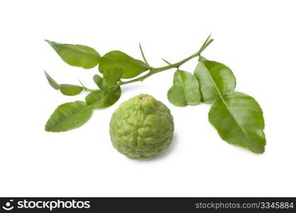 Kaffir lime and a twig of leaves on white background