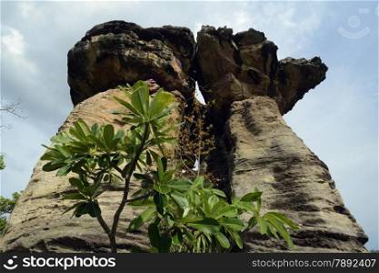 Kalkstone Rocks in the Naturepark Sam Phan Bok near Lakhon Pheng on the Mekong River in the Provinz Amnat Charoen in the northwest of Ubon Ratchathani in the Region of Isan in Northeast Thailand in Thailand.&#xA;