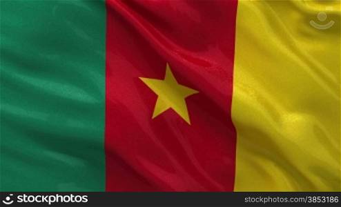Kamerun Nationalflagge im Wind. Endlosschleife.
