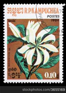 KAMPUCHEA-CIRCA 1984: A stamp printed in the Cambodia, depicts a flower Magnolia (disambiguation), circa 1984