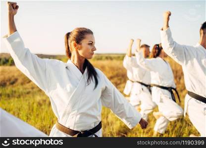 Karate group with master in white kimono, workout in summer field. Martial art training outdoor, technique practice. Karate group with master in white kimono