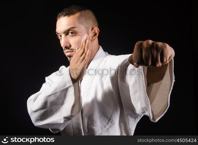 Karate martial arts fighter