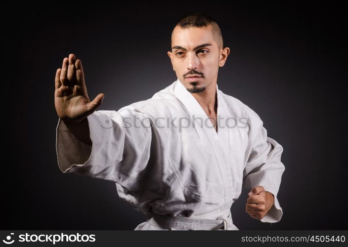 Karate martial arts fighter