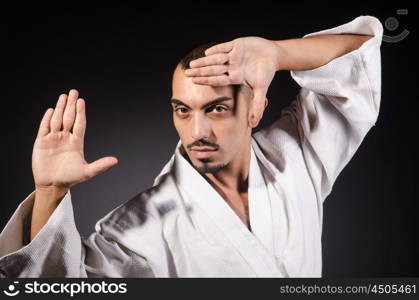 Karate martial arts fighter