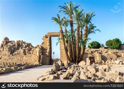 Karnak temple ruins at summer sunrise in Luxor. Karnak temple ruins