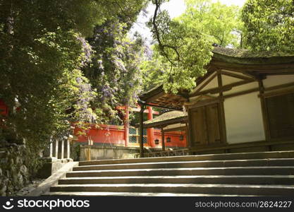 Kasugataisha Wakamiya Shrine