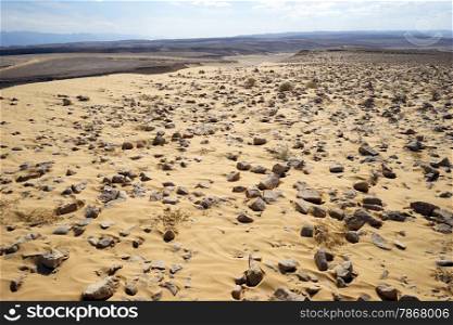 Kasui dune in Negev desert in Israel