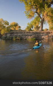 kayaker (fifty five years old male) paddling a blue, plastic, whitewater kayak on a small river in autumn scenery, Saint Vrain Creek in eastern Colorado