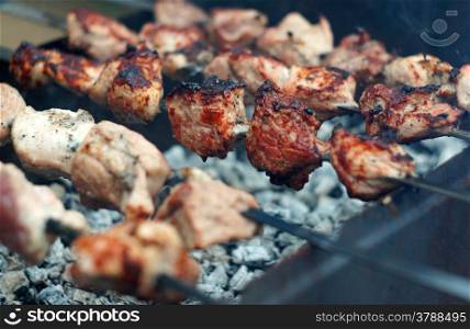 Kebab skewers on the grill close up