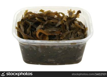 kelp salad in a plastic pot isolated on white background