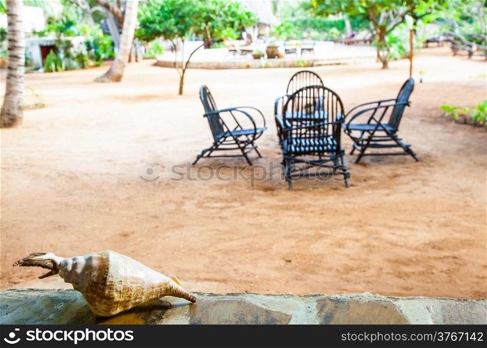 Kenya. Elegant furniture made of wood in an African garden