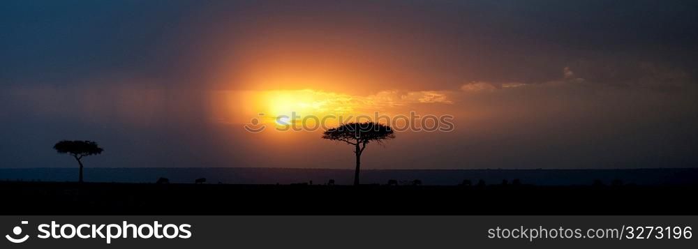 Kenya landscape at sunset