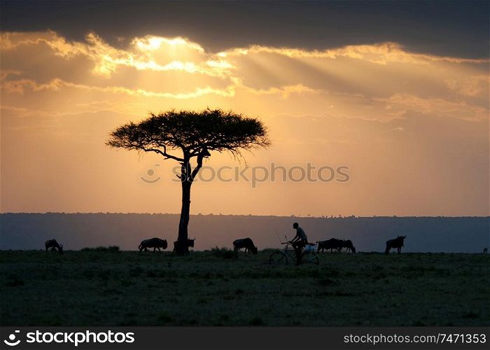Kenya landscape at sunset