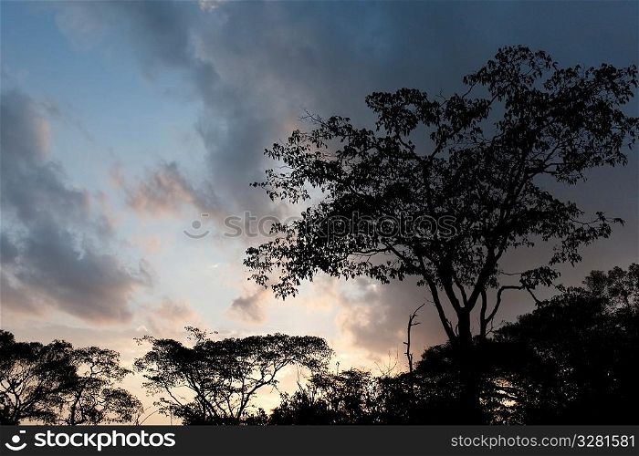 Kenya sky at sunrise