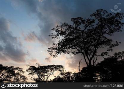 Kenya sky at sunrise