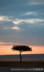 Kenya sky at sunset