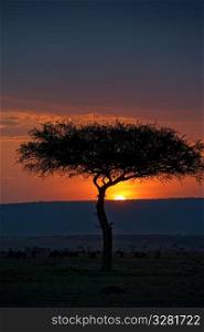 Kenya sky at sunset
