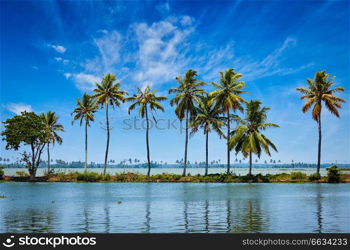Kerala travel tourism background - Palms at Kerala backwaters. Allepey, Kerala, India. This is very typical image of backwaters.. Kerala backwaters