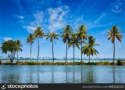 Kerala travel tourism background - Palms at Kerala backwaters. Allepey, Kerala, India. This is very typical image of backwaters.. Kerala backwaters