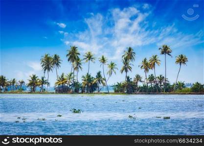 Kerala travel tourism background -  Palms at Kerala backwaters. Allepey, Kerala, India. This is very typical image of backwaters.. Kerala backwaters