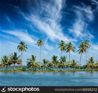 Kerala travel tourism background -  Palms at Kerala backwaters. Allepey, Kerala, India. This is very typical image of backwaters.. Kerala backwaters with palms