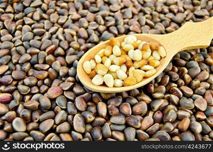 Kernel cedar nuts in a wooden spoon on a background texture of pine nuts