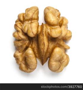 Kernel walnut isolated on the white background closeup with clipping path
