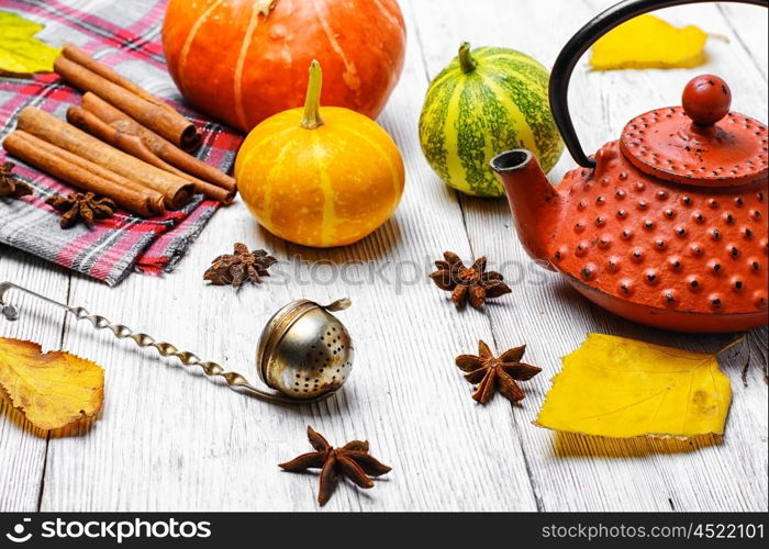 Kettle and autumn pumpkin. Stylish kettle for tea and harvest autumn pumpkin