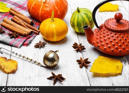 Kettle and autumn pumpkin. Stylish kettle for tea and harvest autumn pumpkin